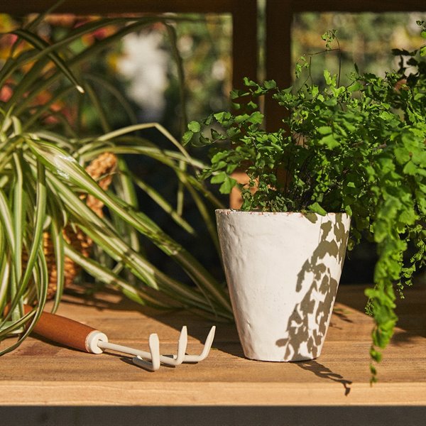 Zara Home lanza una colección para los amantes de las plantas y la jardinería 
