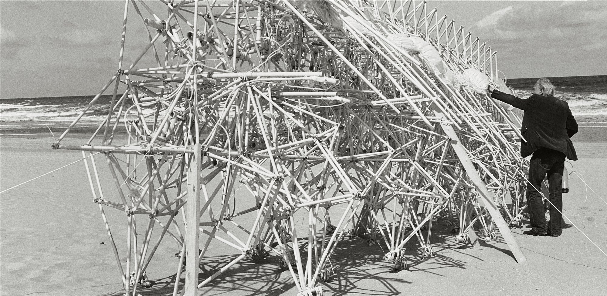 Libro Taschen Strandbeest. The Dream Machines of Theo Jansen. Arranging sails of Animaris Plaudens Vela (2013)