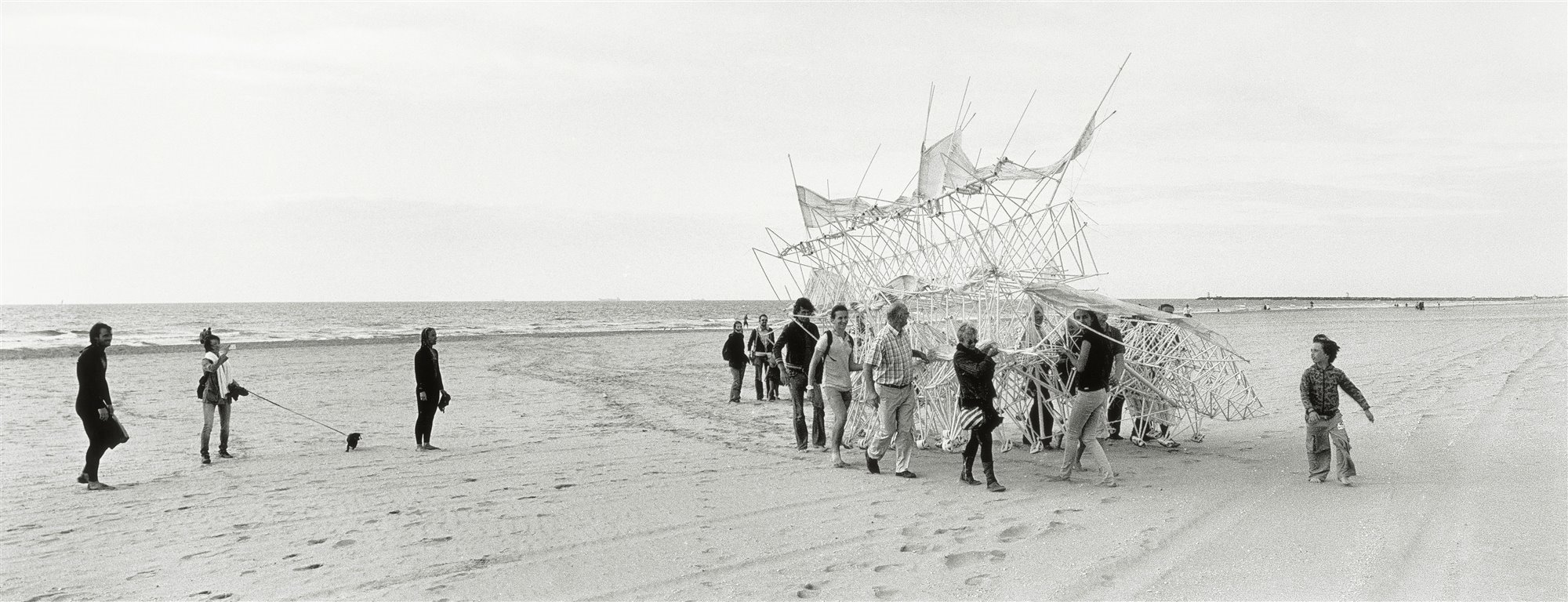 Libro Taschen Strandbeest. The Dream Machines of Theo Jansen. Assisted first walk of Animaris Plaudens Vela (2013)