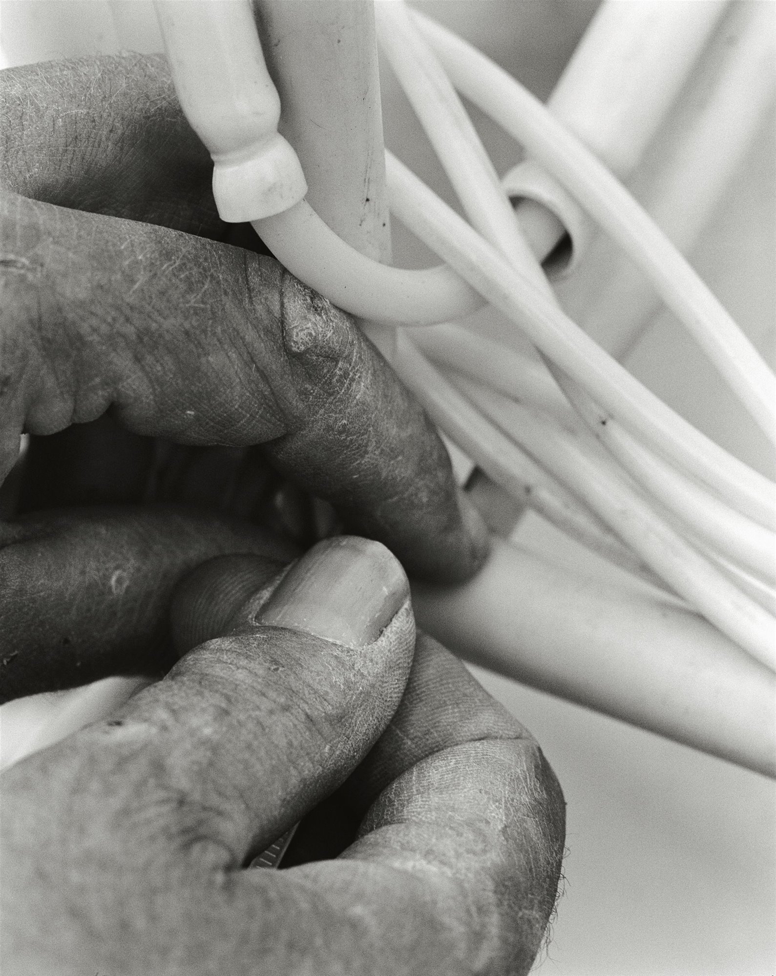 Libro Taschen Strandbeest. The Dream Machines of Theo Jansen. Hands of Theo Jansen, Delft, The Netherlands (2010)