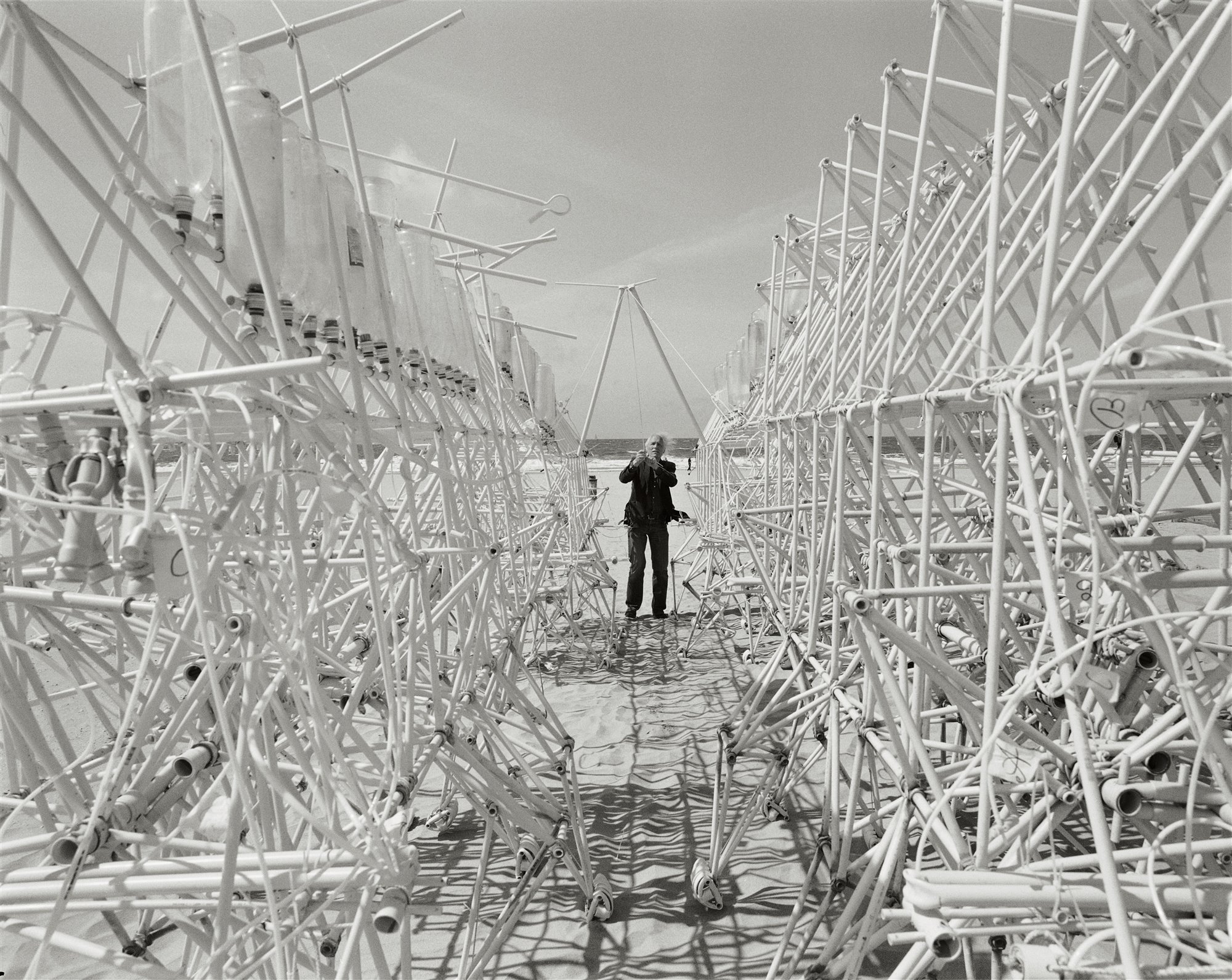 Libro Taschen Strandbeest. The Dream Machines of Theo Jansen. Theo Jansen and Animaris Gubernare (2011)