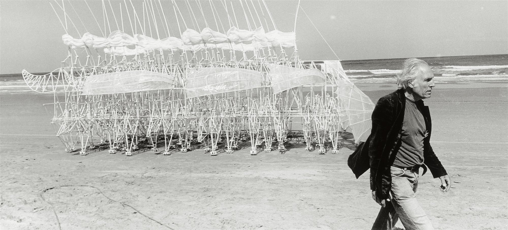 Libro Taschen Strandbeest. The Dream Machines of Theo Jansen. Theo Jansen and Animaris Siamesis (2010)