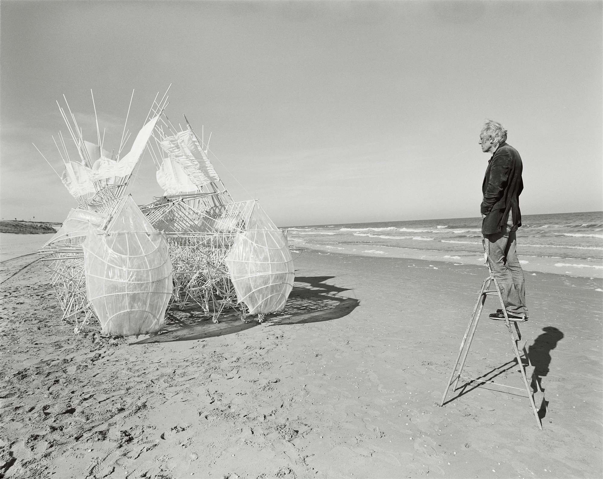 Libro Taschen Strandbeest. The Dream Machines of Theo Jansen.  Theo Jansen and Animaris Siamesis (2010)