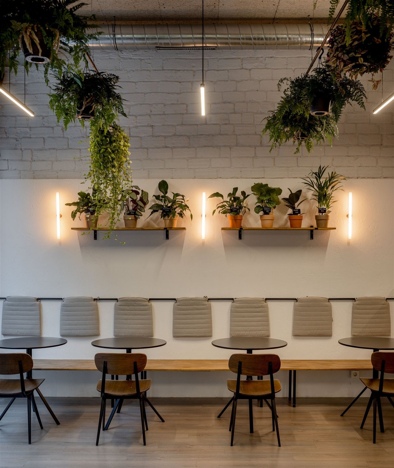 Con este restaurante ubicado en la calle Barraincúa, 9, Lázaro Estudio ha buscado sumergir a los clientes en un pulmón dentro de Bilbao. Foto: Biderbost Photo