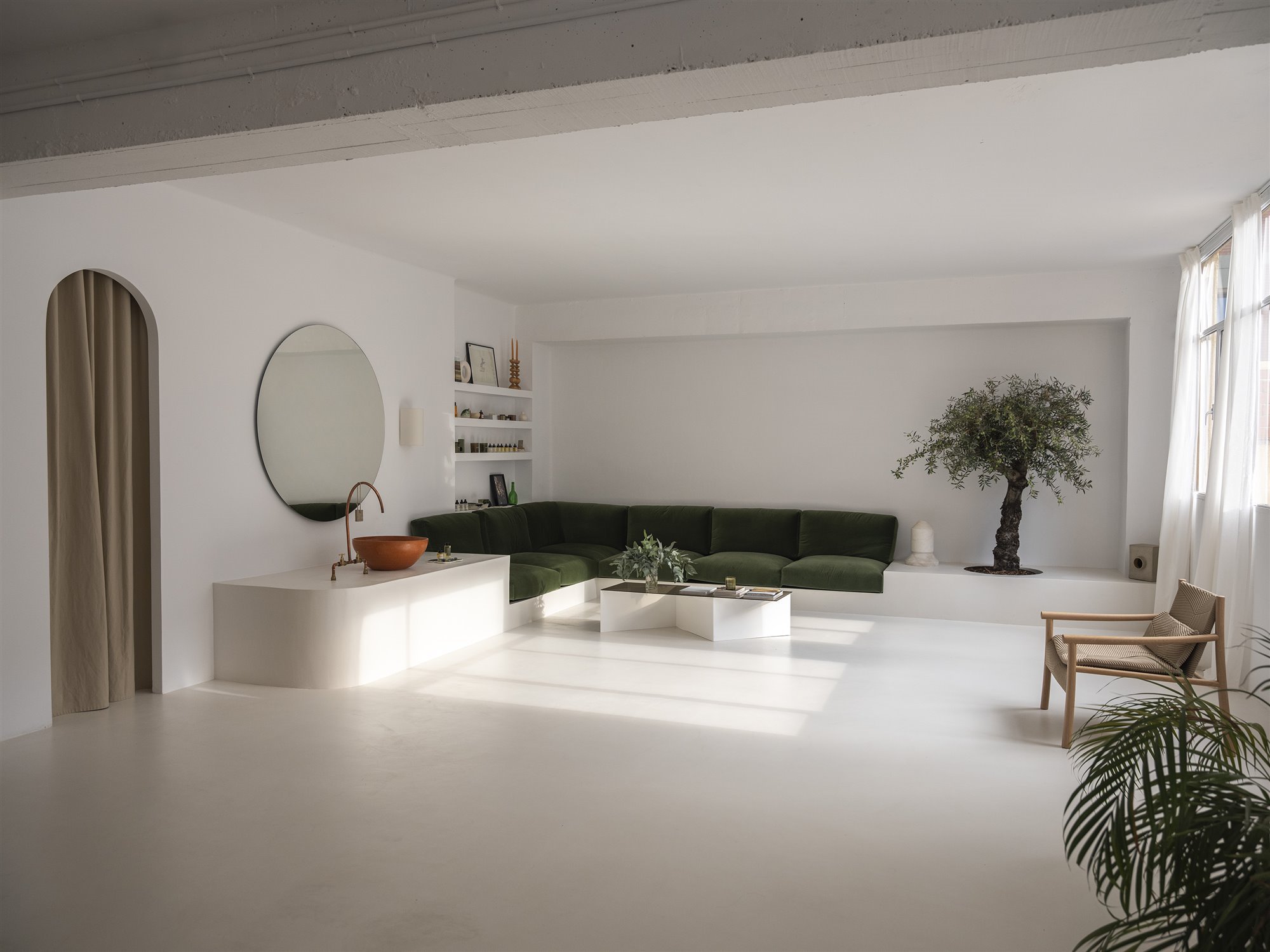  DSF1566 copia