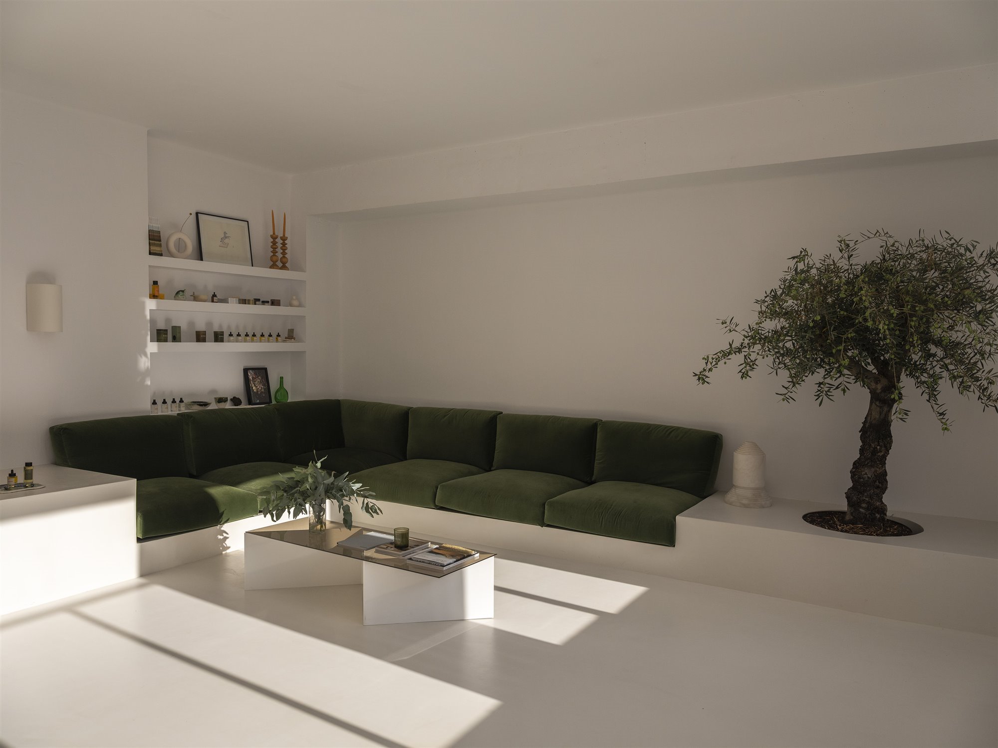  DSF1599 copia
