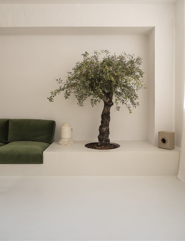 Este estudio y showroom de Barcelona está pensado como una casa de aire mediterráneo