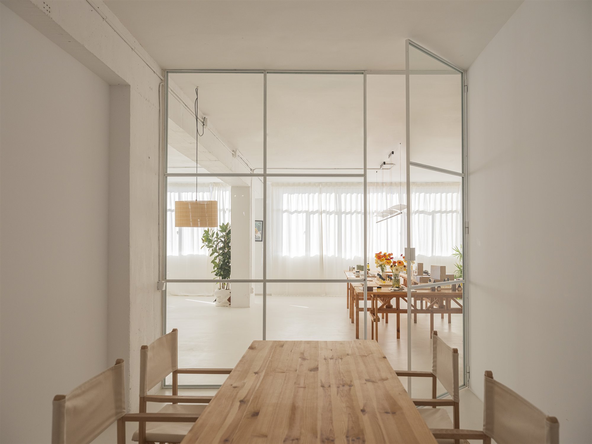  DSF1903 copia