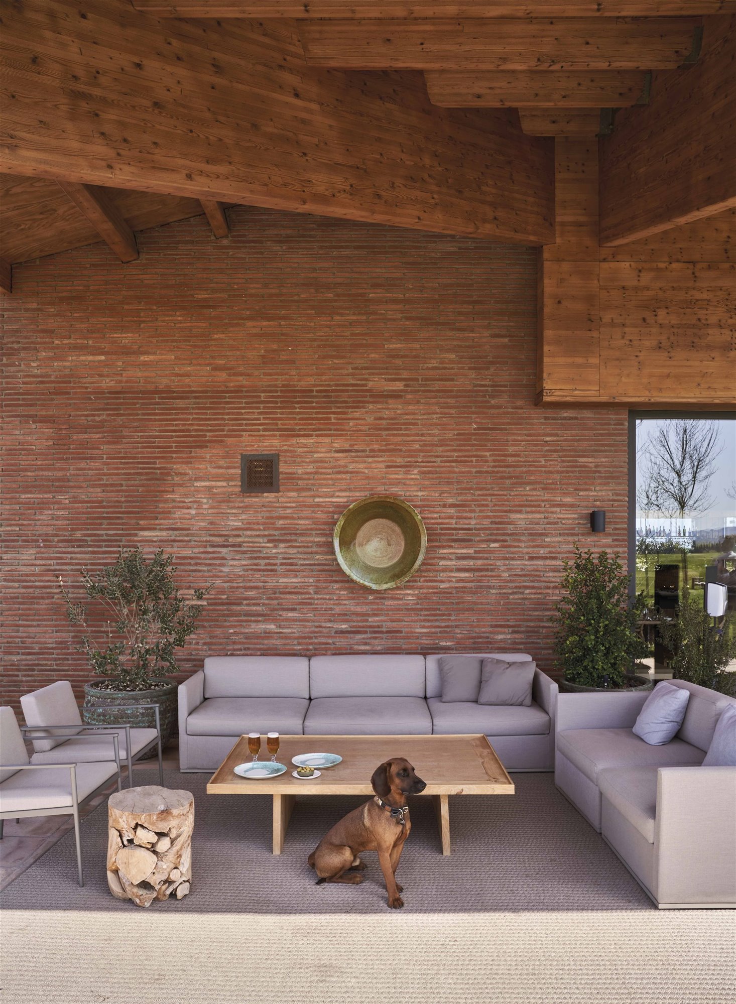 hotel campo de golf emporda patio con sofa exterior y perro
