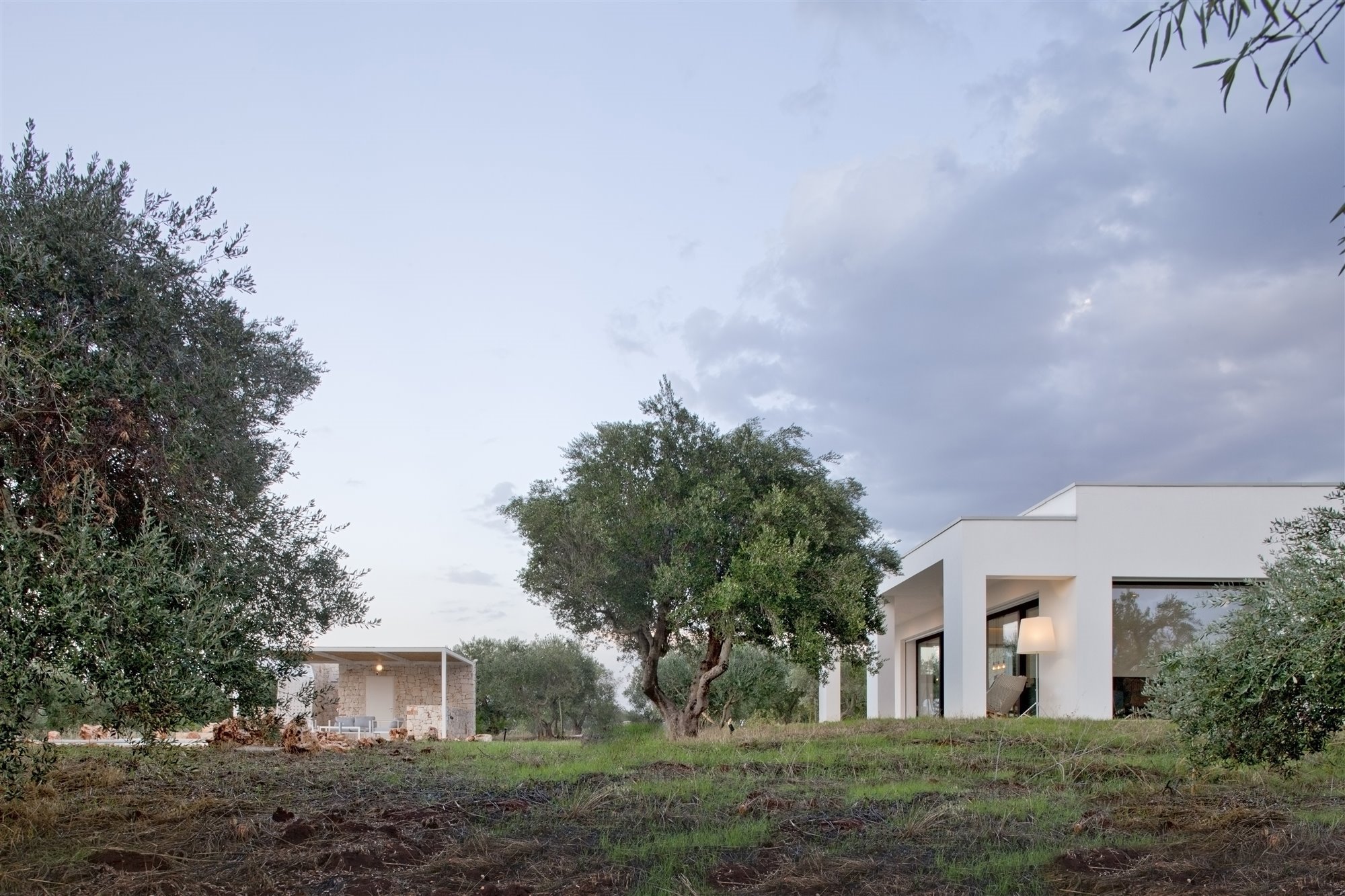 Casa en el olivar. Un volumen blanco y puro