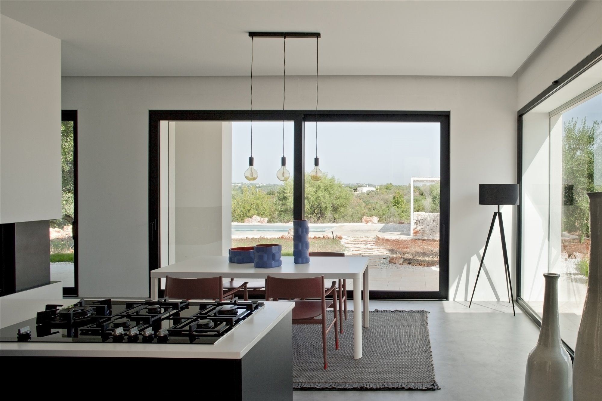 Casa en el olivar. Ventanales para enmarcar el paisaje