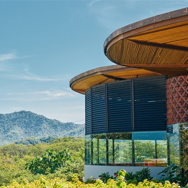 Dos hoteles en el paraíso que luchan por la protección de las abejas
