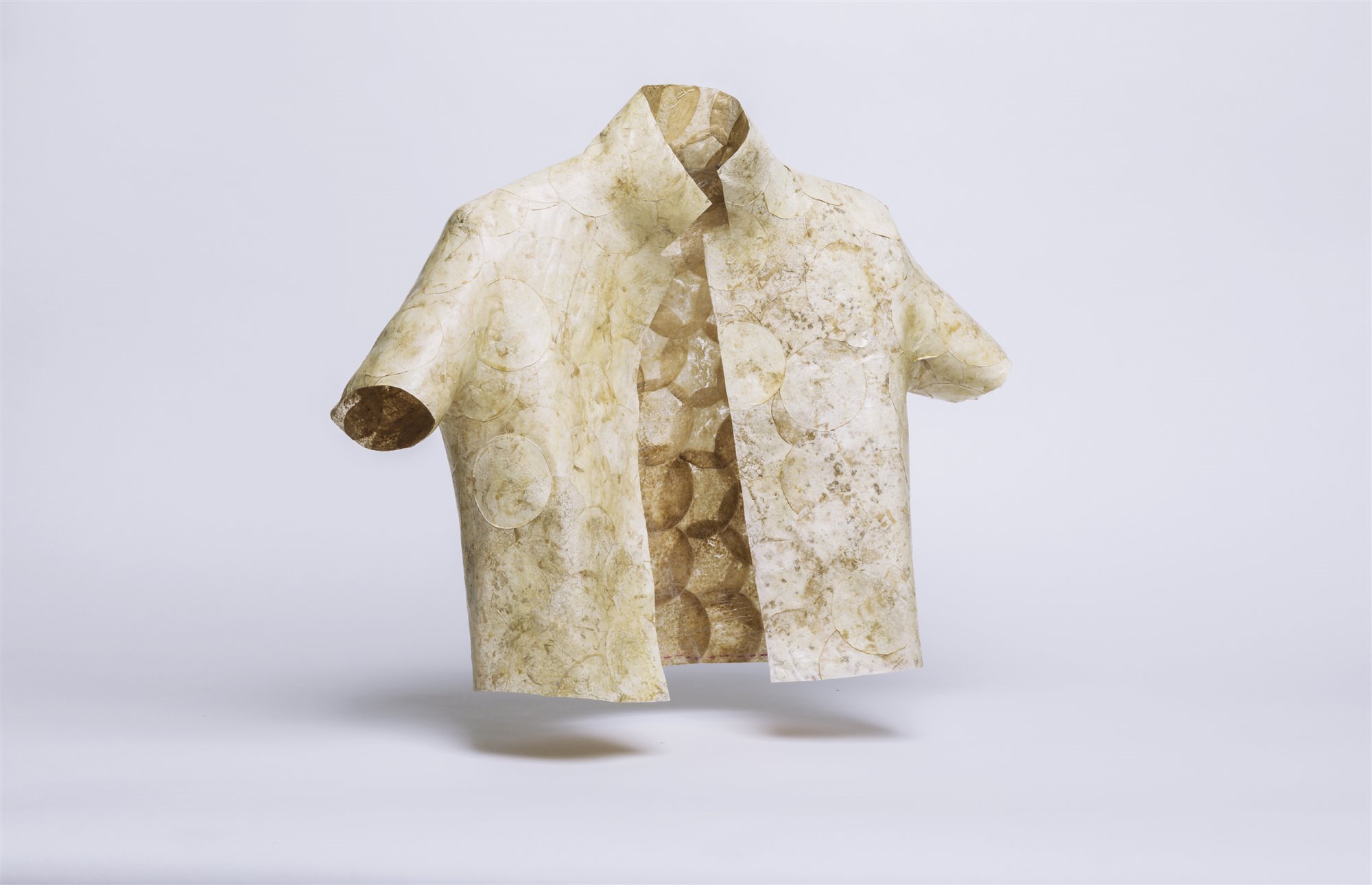 camisa de raíces de hongos exposición Vitra Museum