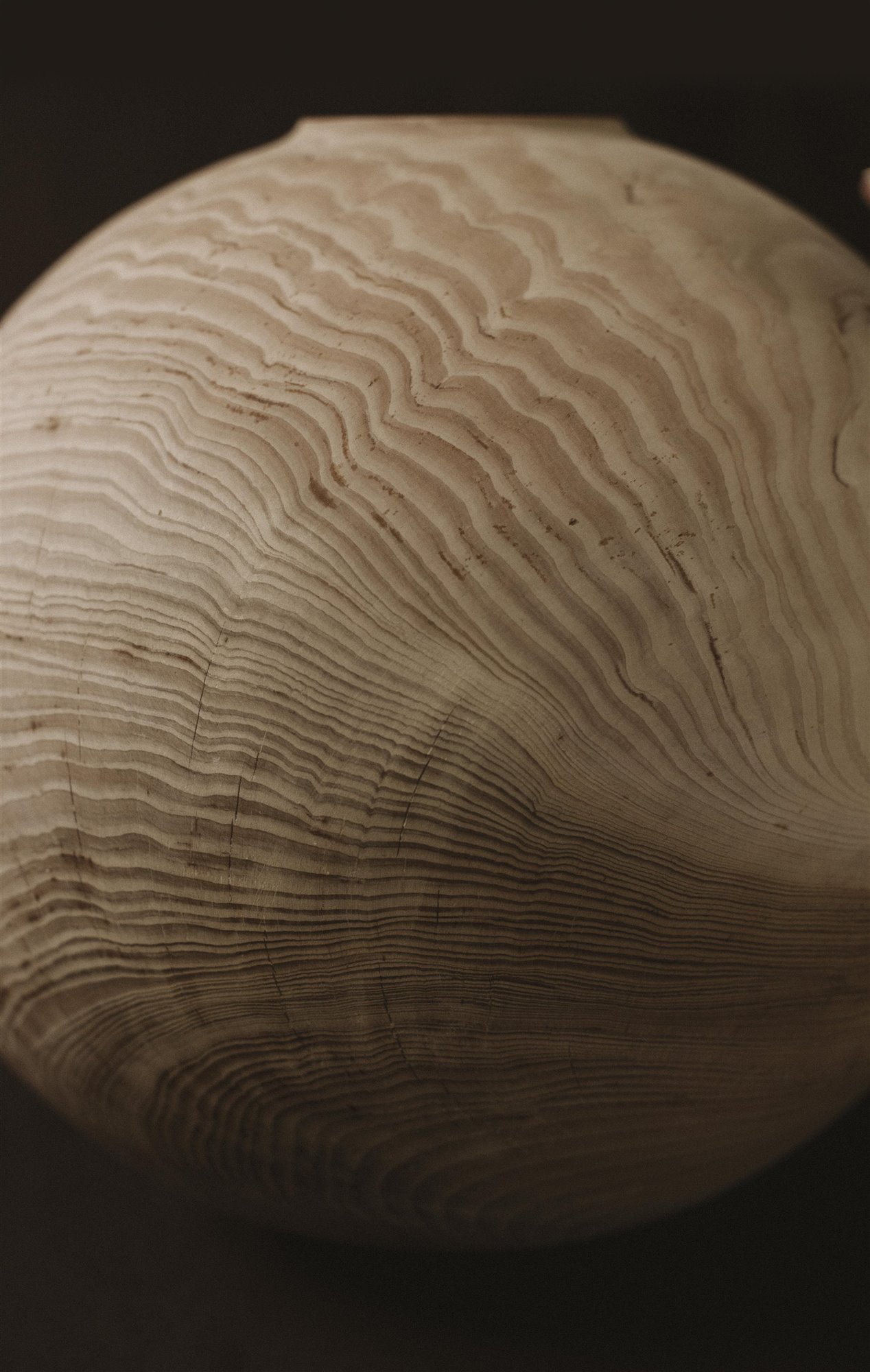 pieza de madera de toni porto