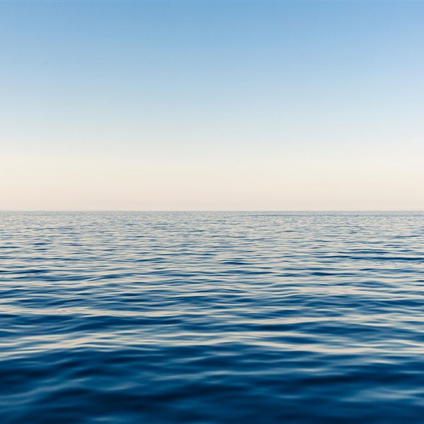 De la negación del cambio climático a la urgencia ecológica, ¿qué ha ocurrido?