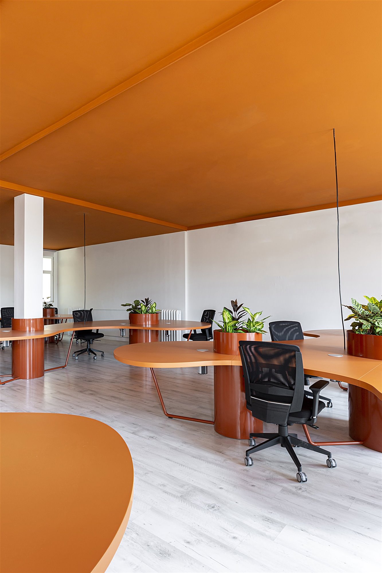 COMAD Arquitectos Oficinas Jungle 21 21
