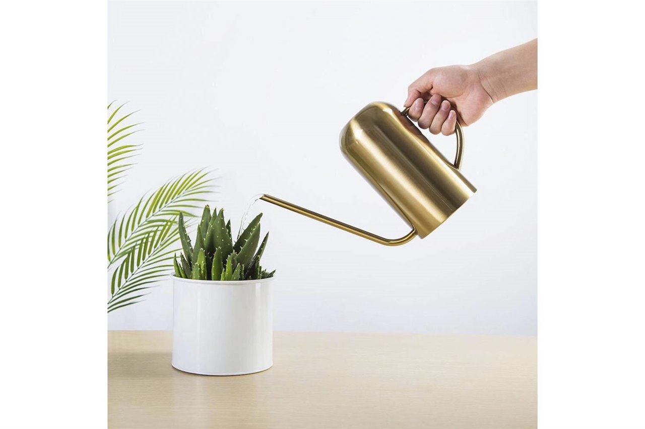 Es importante que a las plantas no les falte el agua.