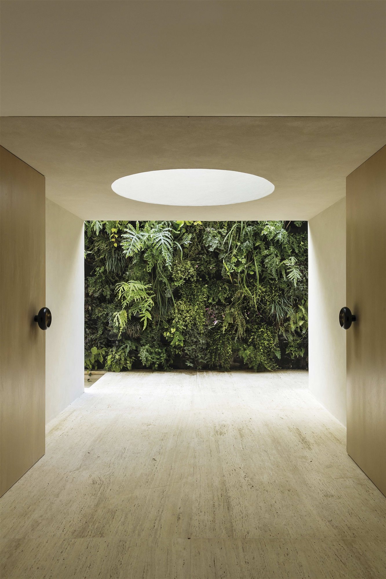 vestíbulo de entrada con plantas de arthur casas