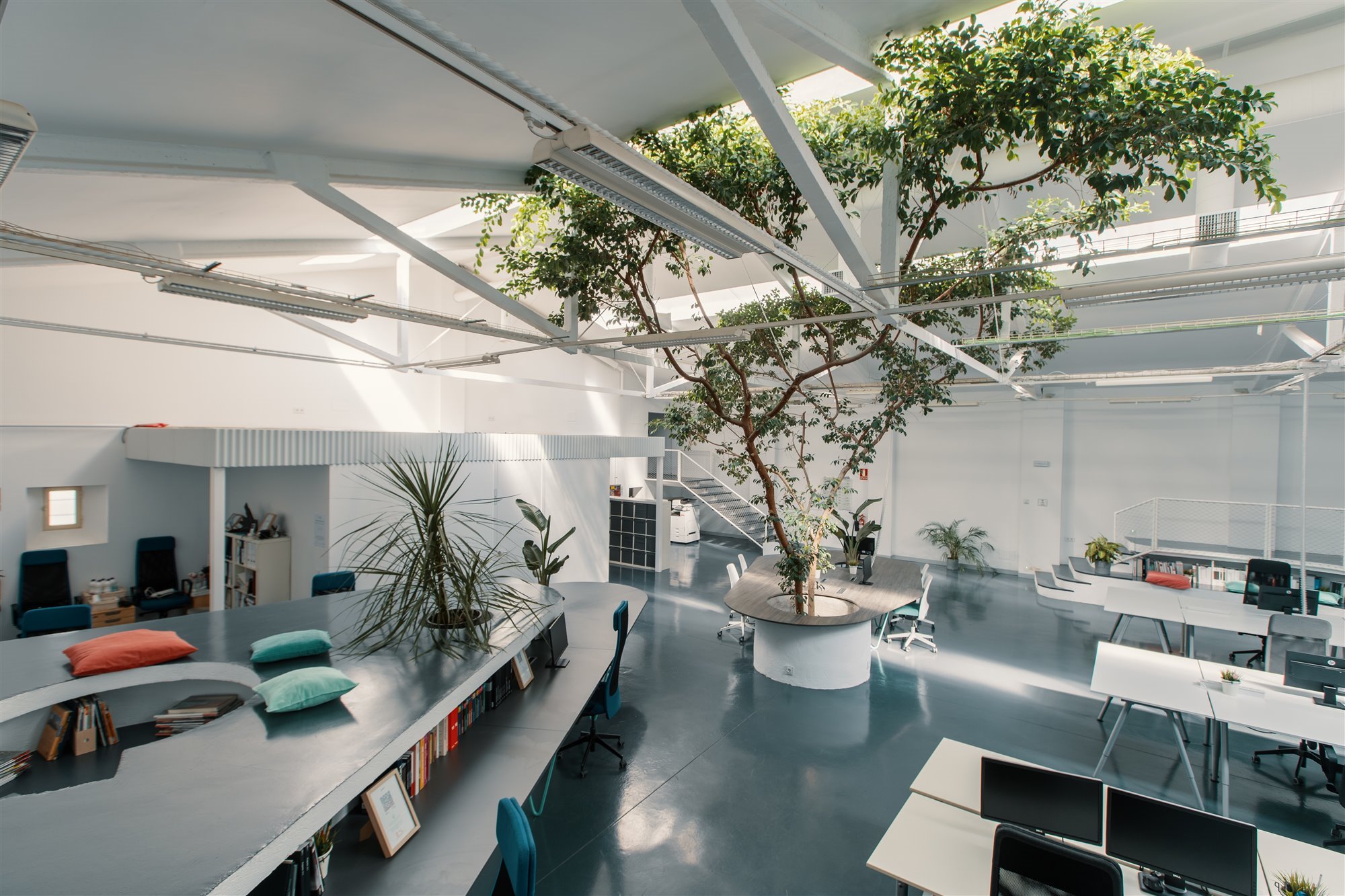 Oficina Ficus. Con varios niveles