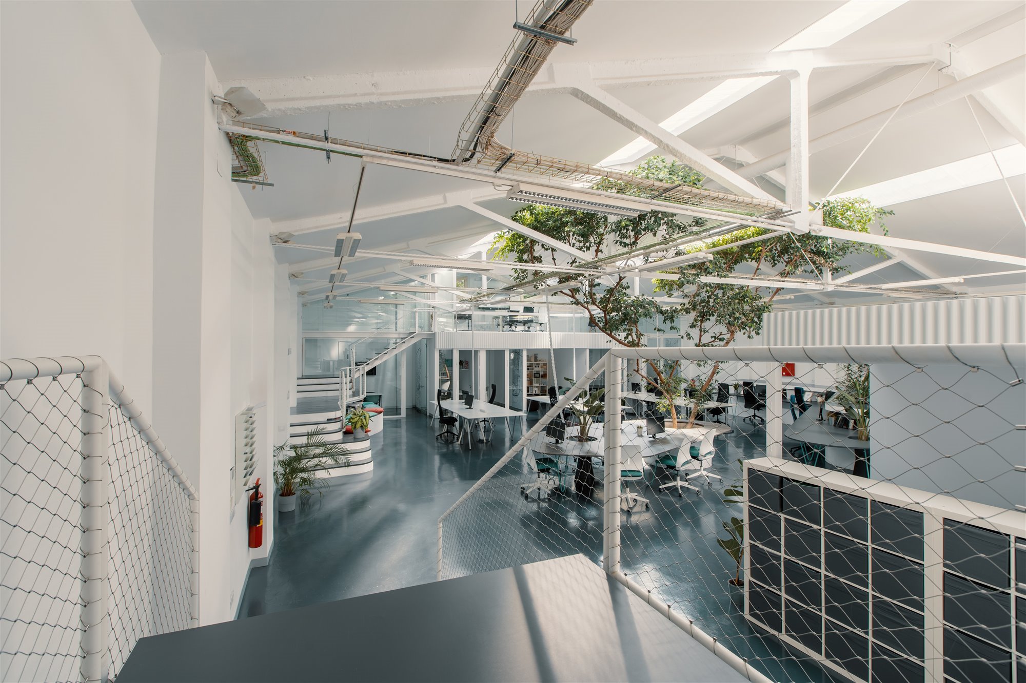 Oficina Ficus. El corazón del espacio
