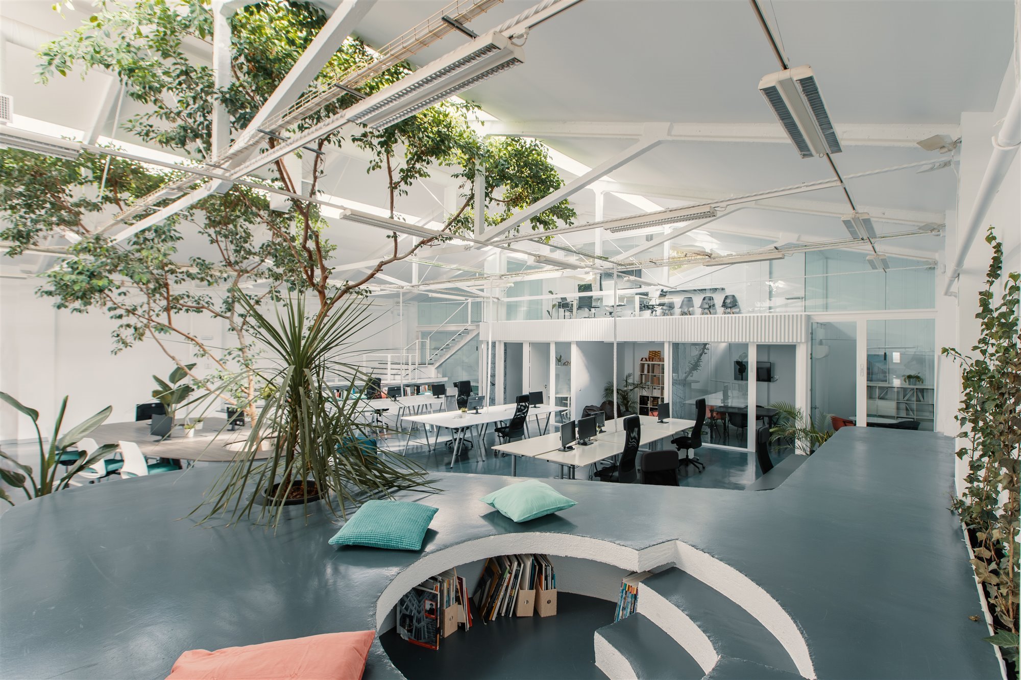 Oficina Ficus. En diferentes ambientes