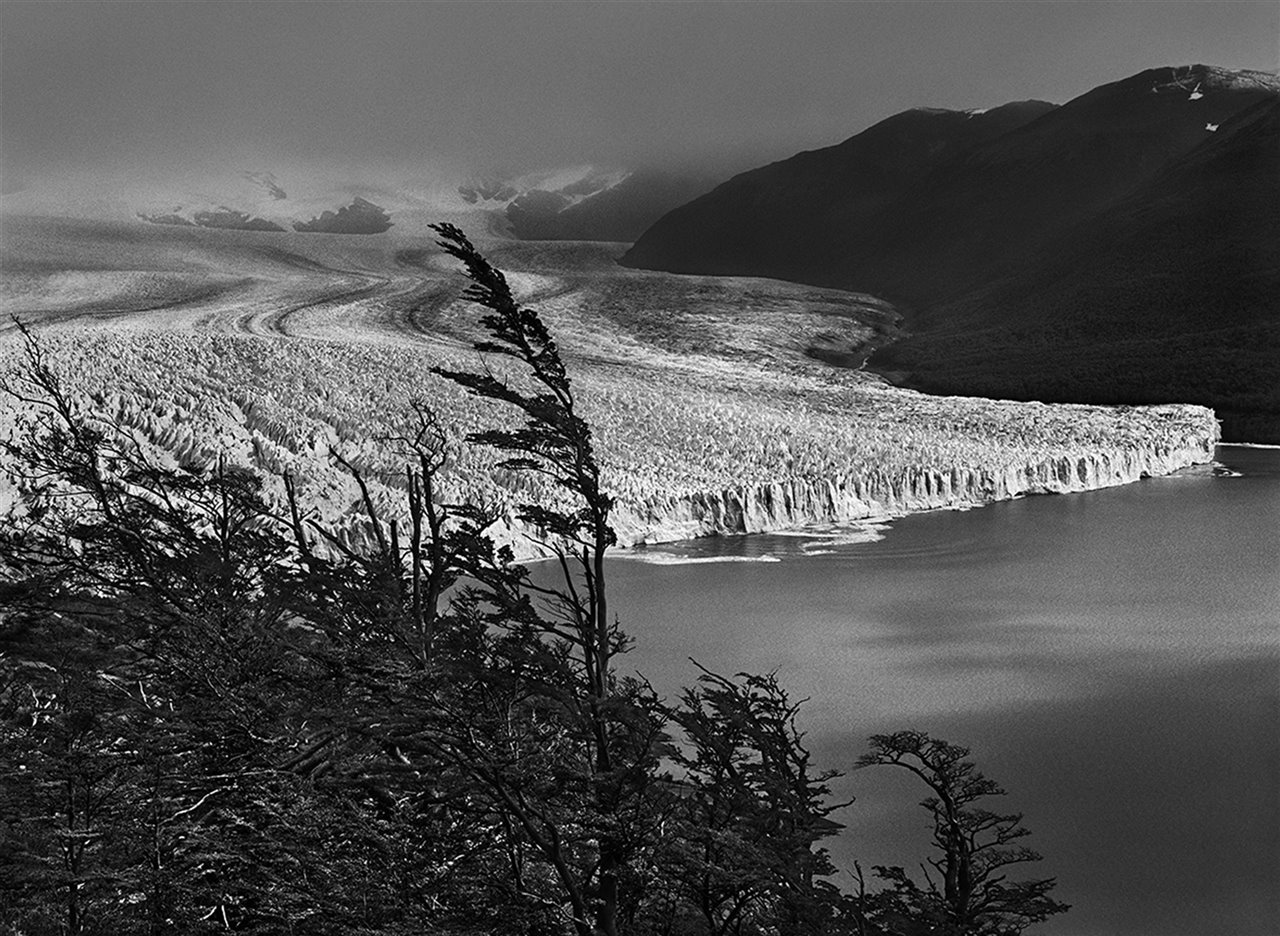 Glaciar Perito Moreno para Sebastião Salgado.