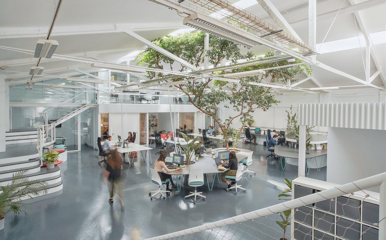 Oficina Ficus