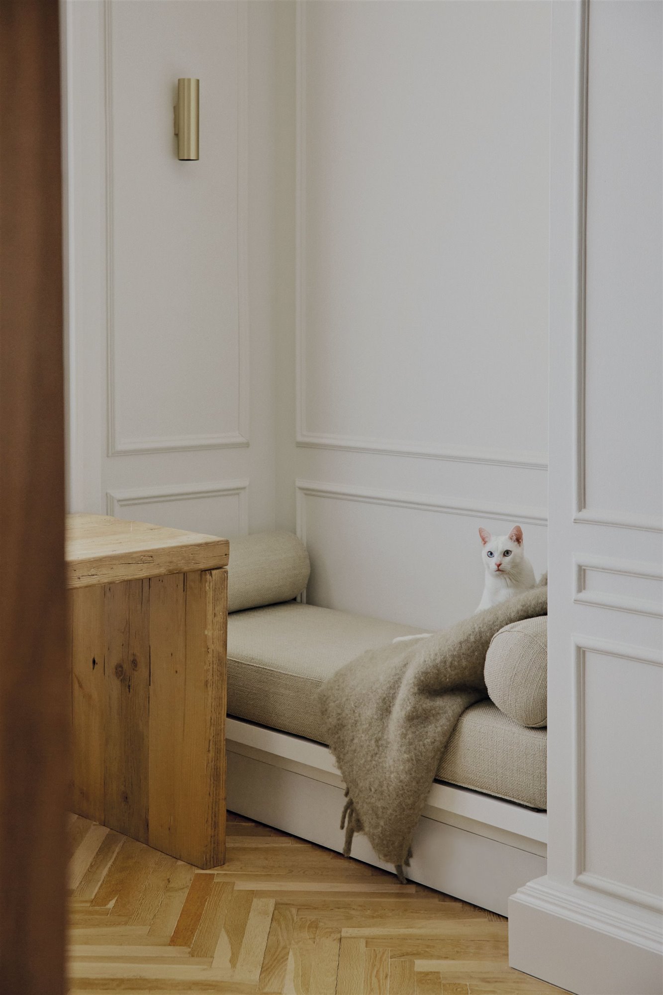 sofá beige con un gato blanco y mesa de madera