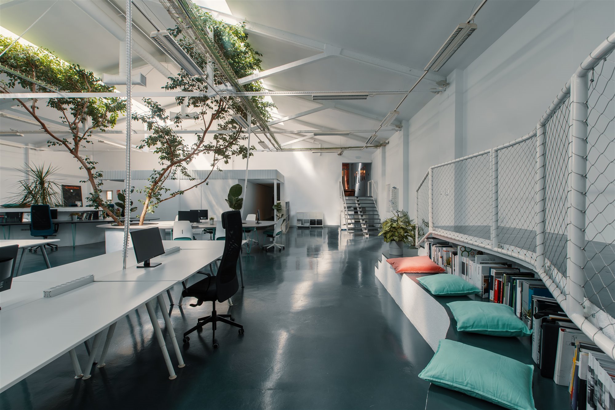 Oficina Ficus. Tercer espacio