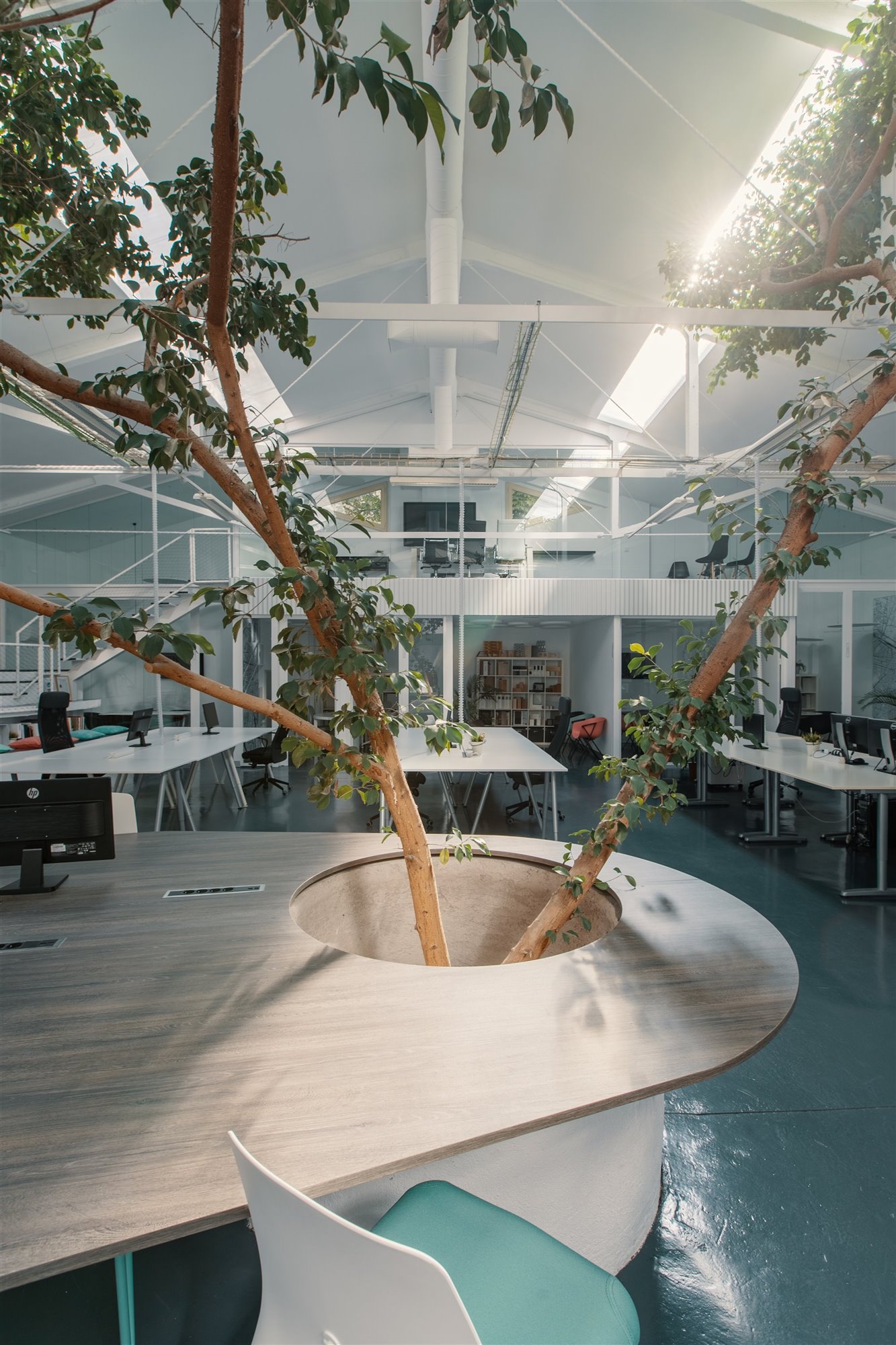 Oficina Ficus. Un antiguo almacén industrial