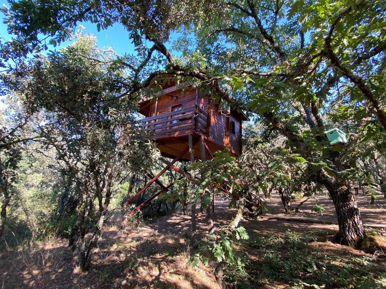 Cabaña Águila imperial del Ecolodge Cabañeros.