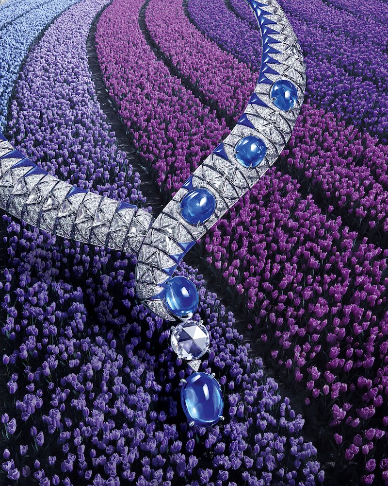 cartier cadrages3 BDM NM 4 5