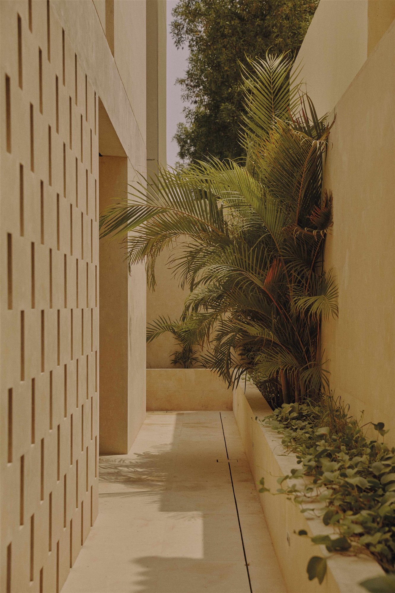 villa am en arabia saudí, pared beige con celosía y plantas