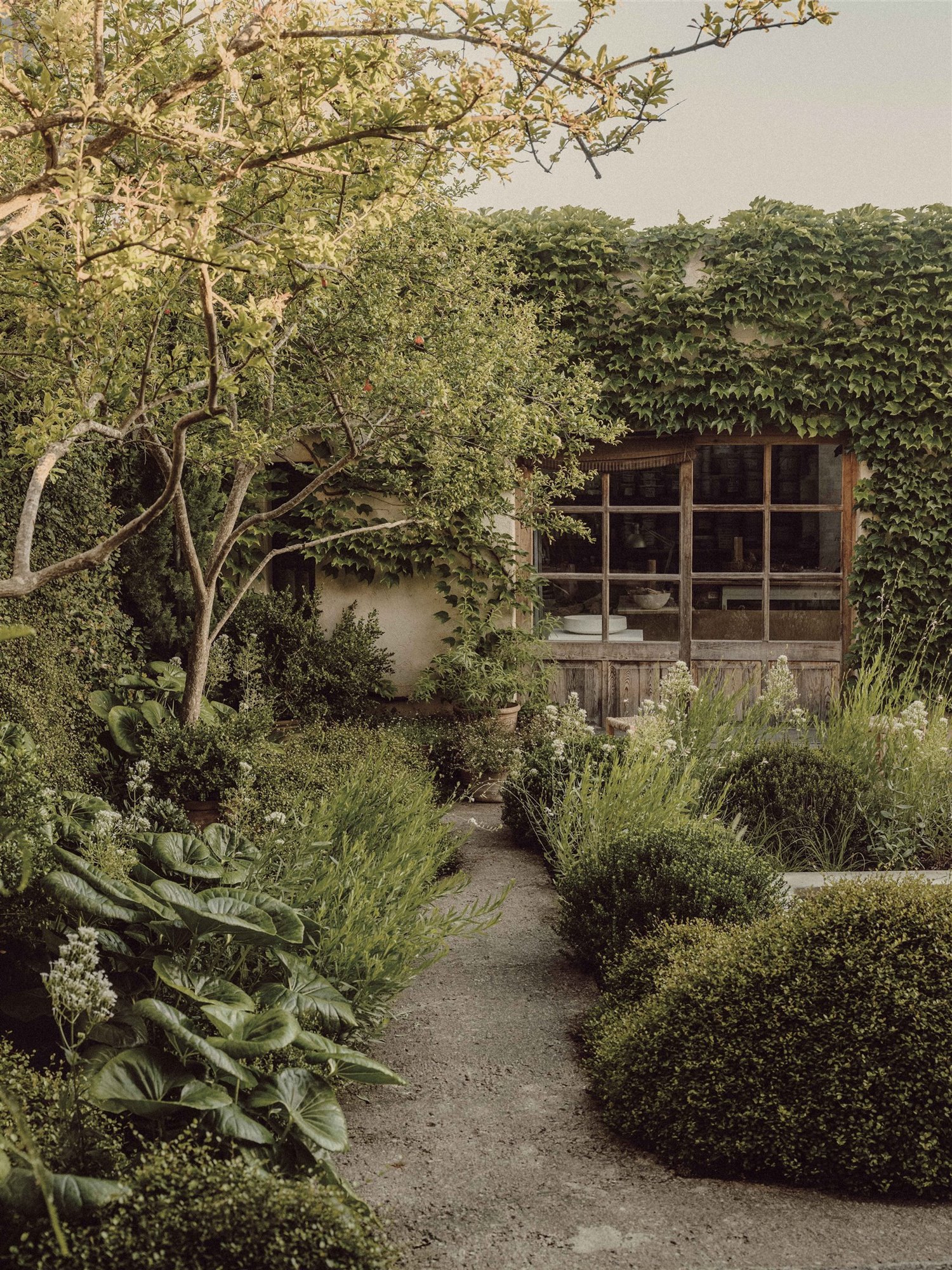 casa con jardín y buganvilla en Mallorca