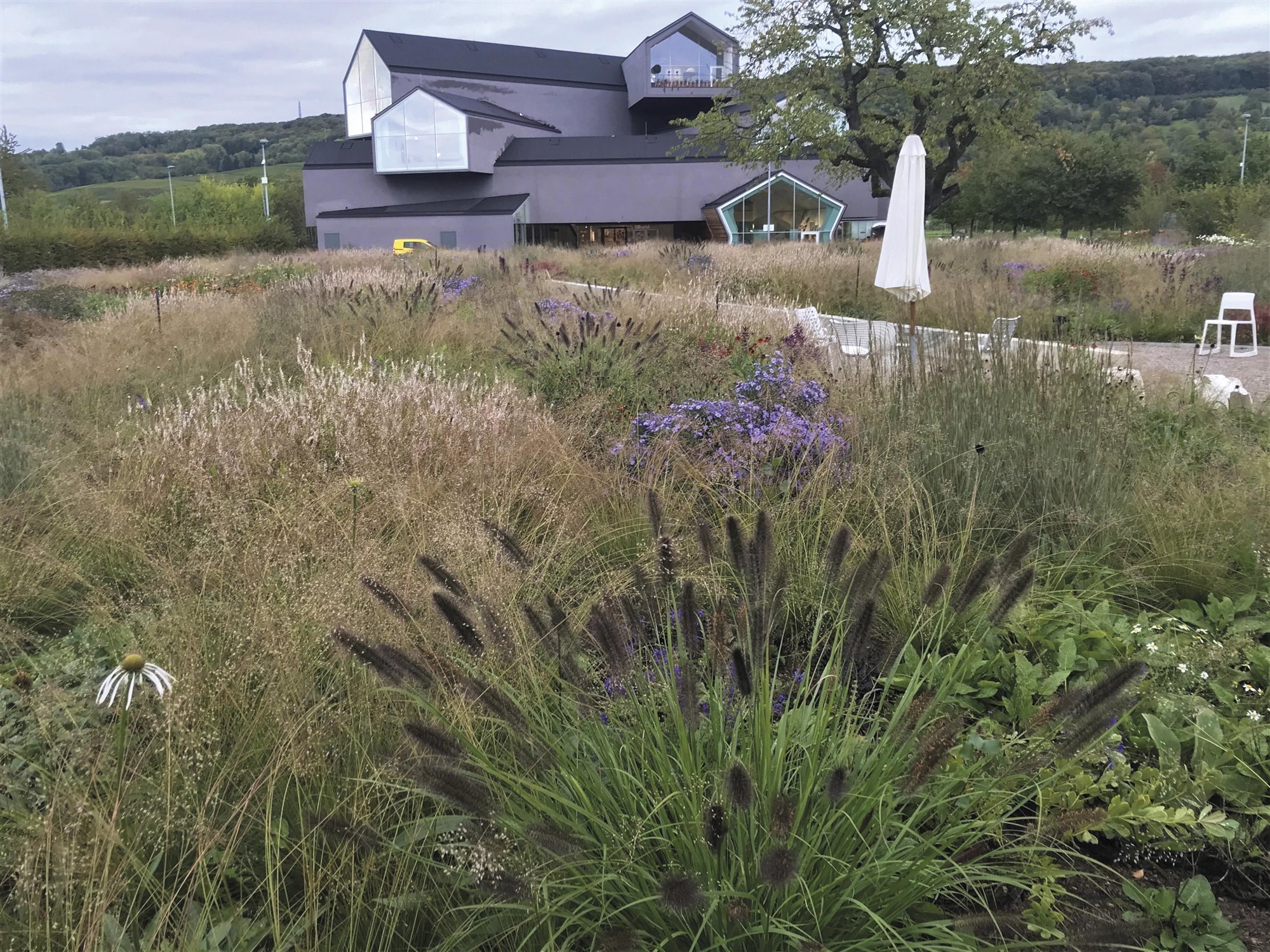 casa con jardín y lavanda en alemania