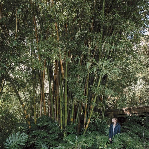 jardín botánico de Málaga