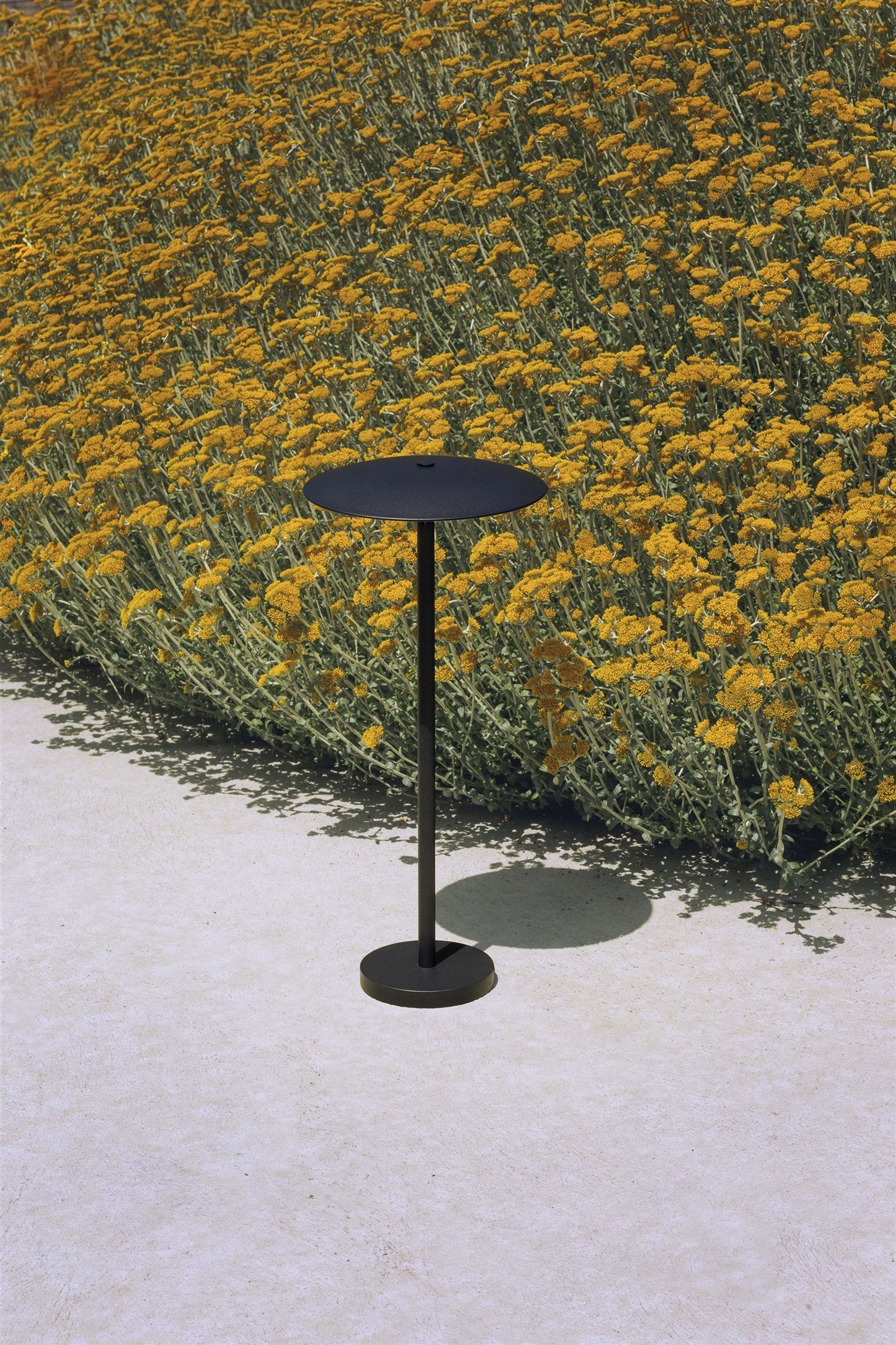 lámpara negra de exterior campo de flores