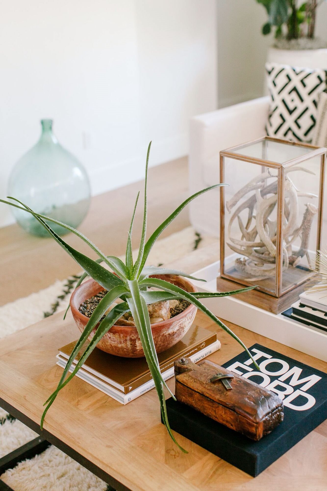 Aloe sobre una mesa de madera