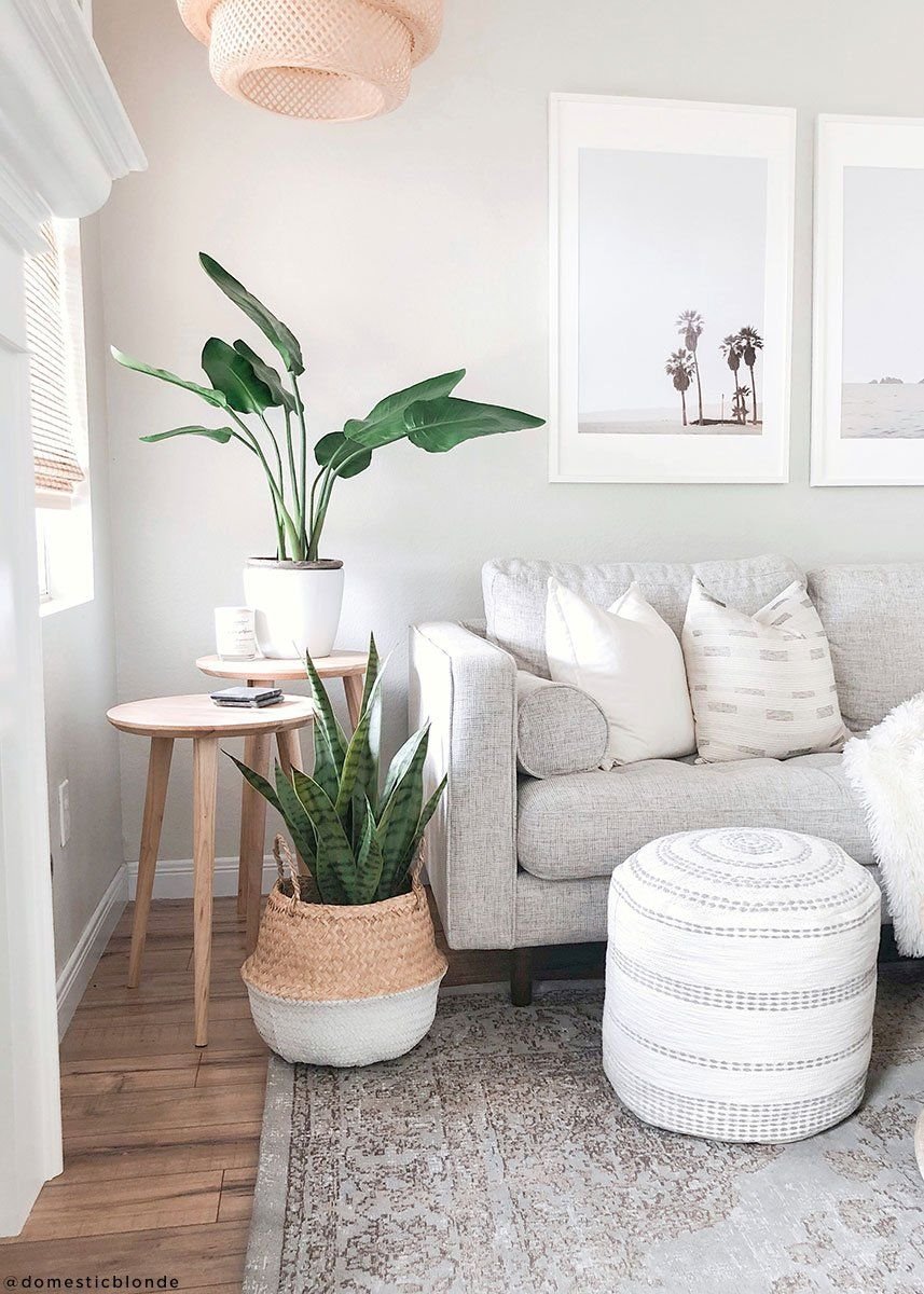 Ave del paraiso en una cesta junto al sofa gris