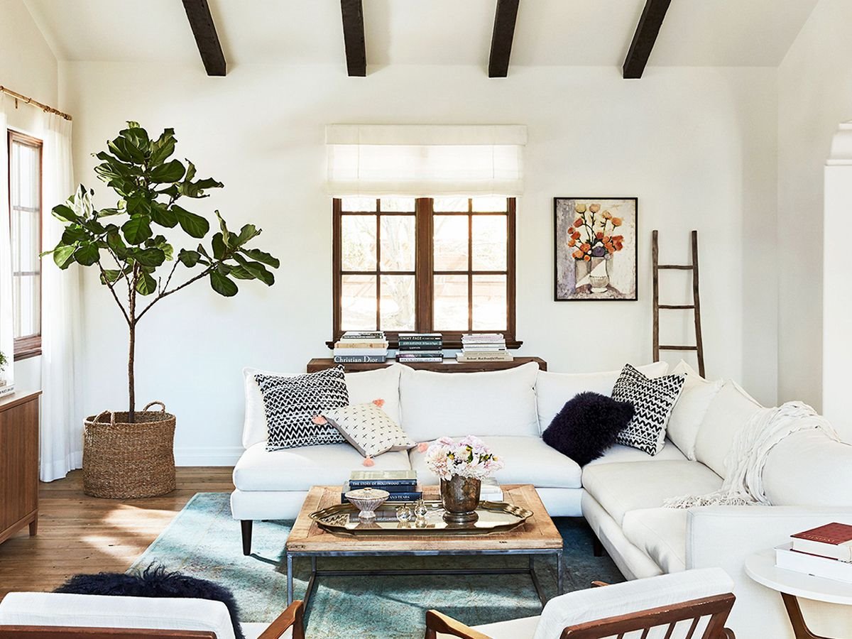Salon con un ficus lyrata en una cesta de mimbre