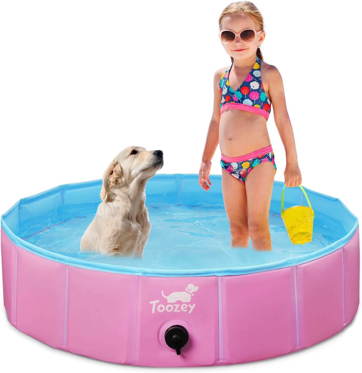 piscinaperros