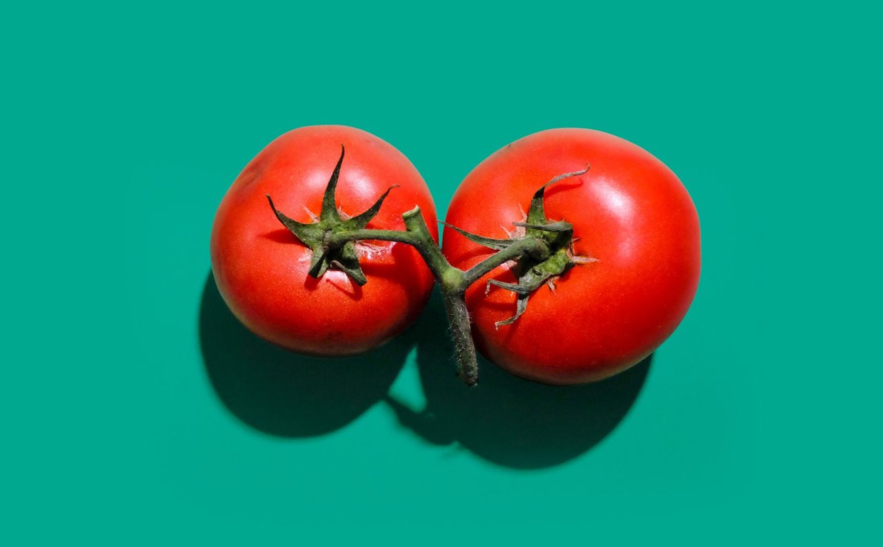 Ha llegado el momento de cultivar tomates en casa.