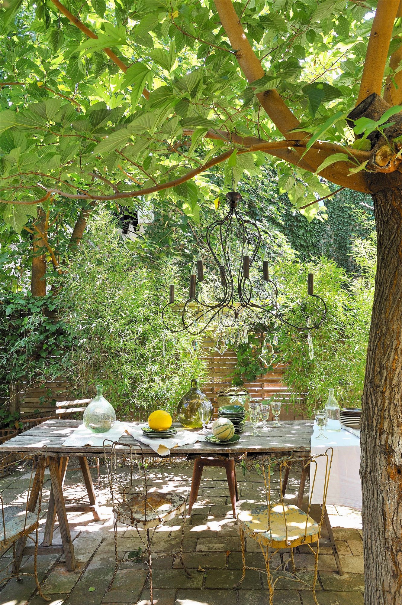 mesa de comedor en el jardín debajo de una morera