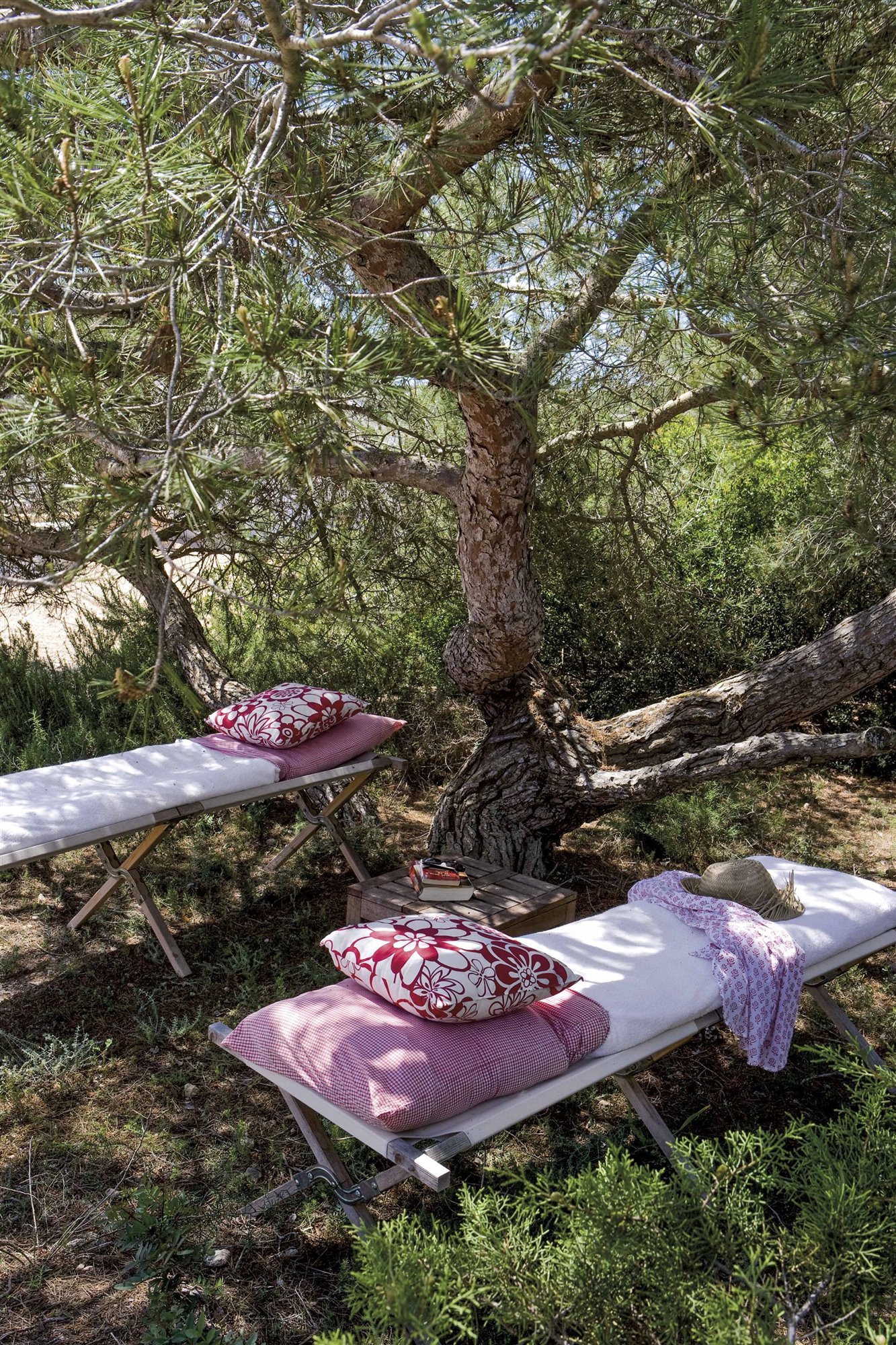 chaise lounges de exterior en un campo con cojines rojos