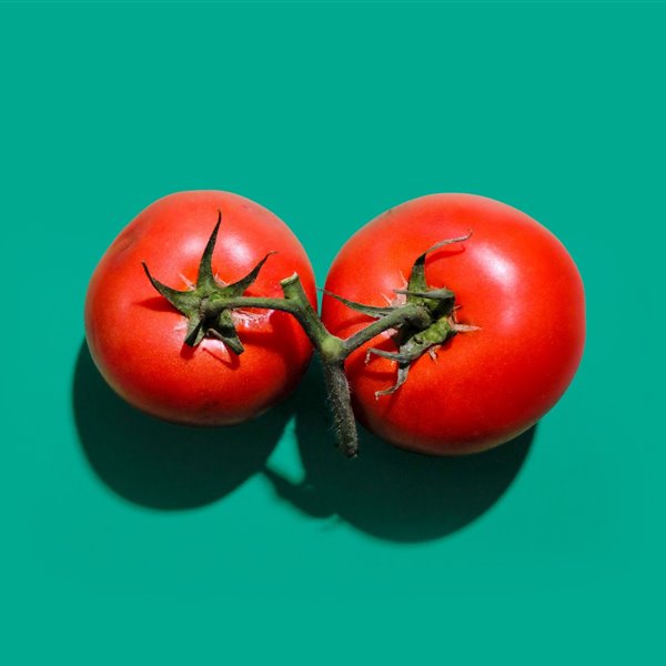 Ha llegado el momento de cultivar tomates en casa.