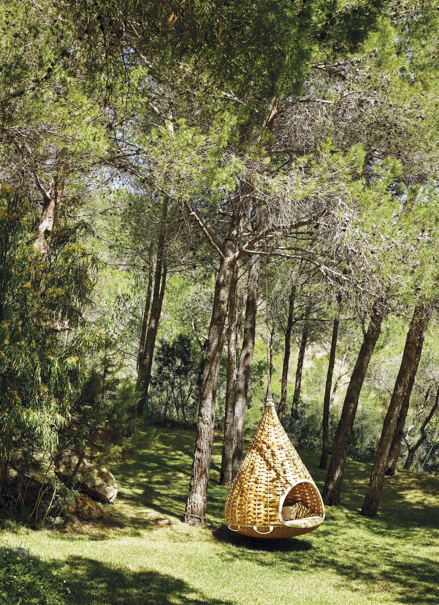 jardín con asiento mimbre colgando de una rama de árbol