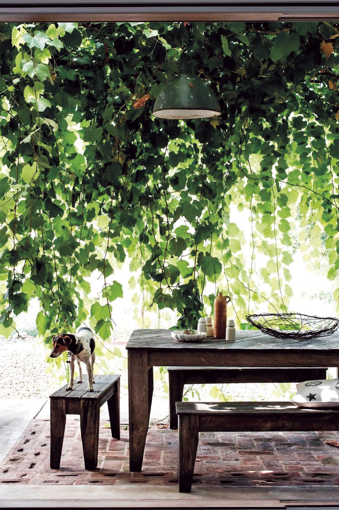 patio con mesa de comedor y banco de madera bajo un árbol 