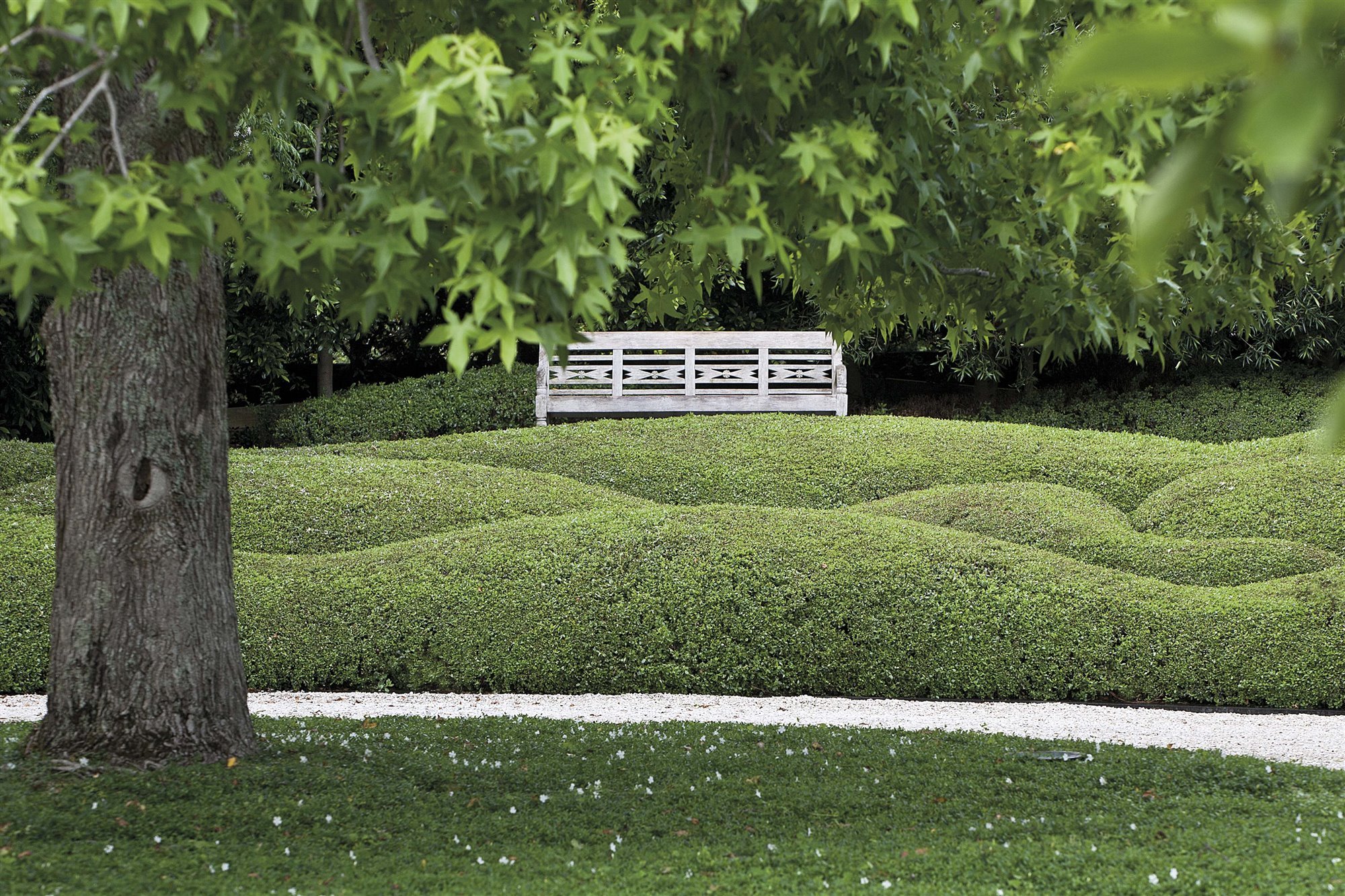 jardín con banco de madera