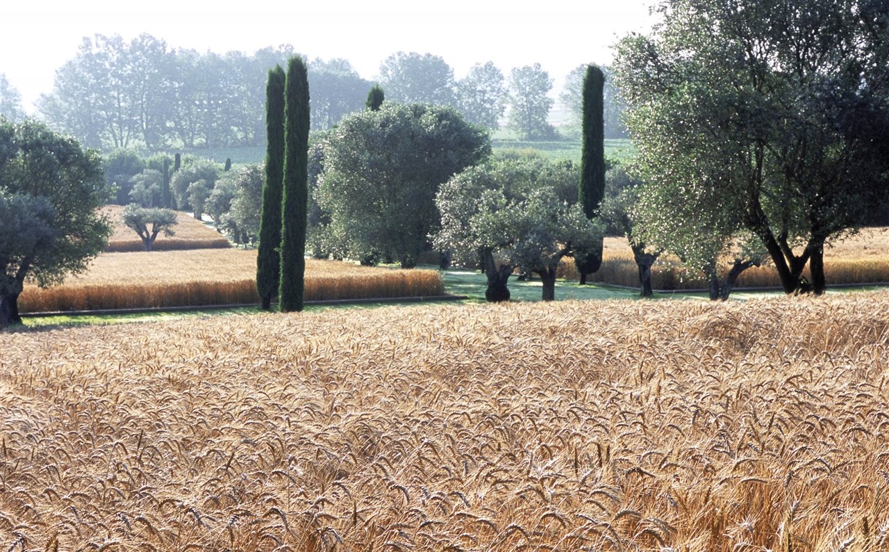 Paisajismo para Mas de les Voltes, Cataluña
