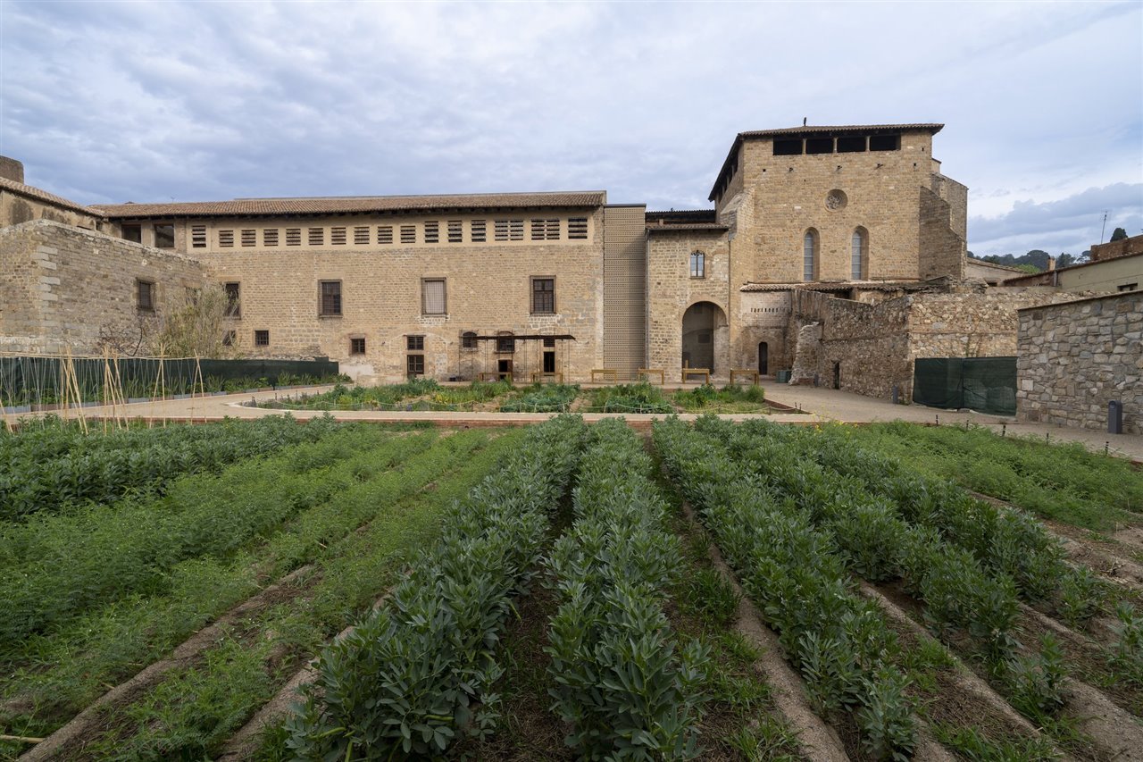 En 'Plantas, remedios y apotecarios' tendrás ocasión de conocer un jardín con cincuenta y una especies vegetales con propiedades medicinales. 